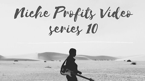 Niche Profits Video Series 10