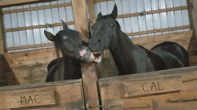 Watch What These Two Best Friends Do In Front Of The Camera