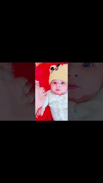 Funny Cats and Kittens Meowing Compilation&Baby Cats -Cute and Funny Cat Videos #shorts (2)