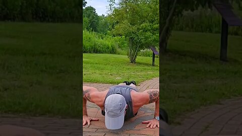 Wolf Energy from carnivore