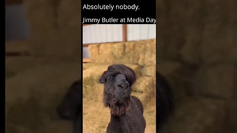 Jimmy Butler be like.. Dude is hilarious!