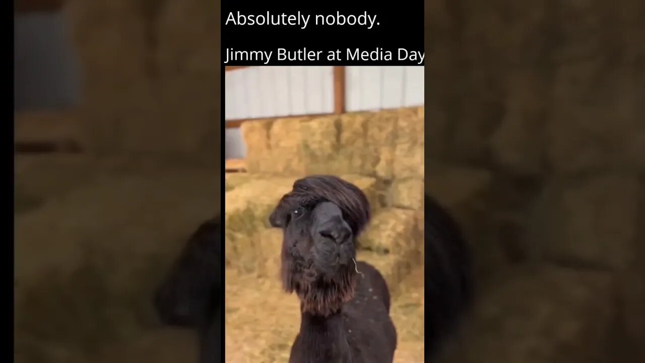 Jimmy Butler be like.. Dude is hilarious!