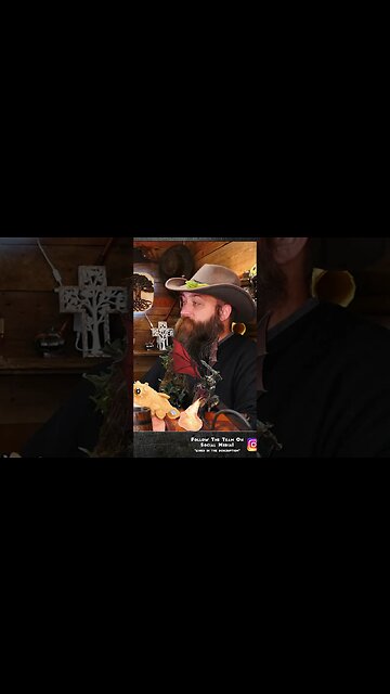 Battlezoo Bestiary Monster Collecting #shorts