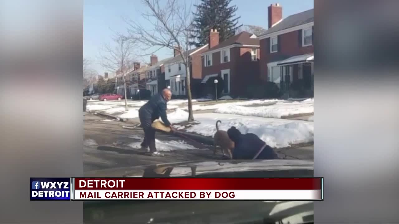 Video shows dog viciously attacking mail carrier in Detroit