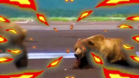 30 Times Animals Messed With The Wrong Opponent !-5