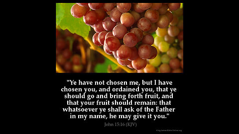 You have been Chosen and Ordained to bare Fruit John 15:16