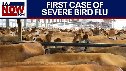 CA declared an emergency, how serious is bird flu? | LiveNOW from FOX