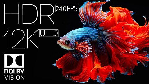EXPLOSIVE COLORS | 12K ULTRA HD HDR (NATURE & WILDLIFE in 240 FPS)