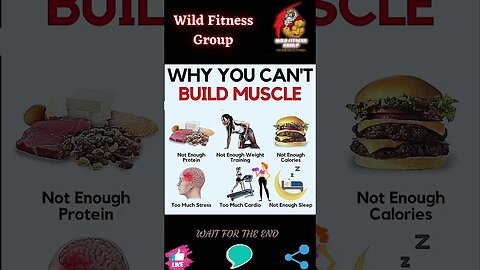 🔥Why you can't build muscle🔥#shorts🔥#wildfitnessgroup🔥29 April 2023🔥