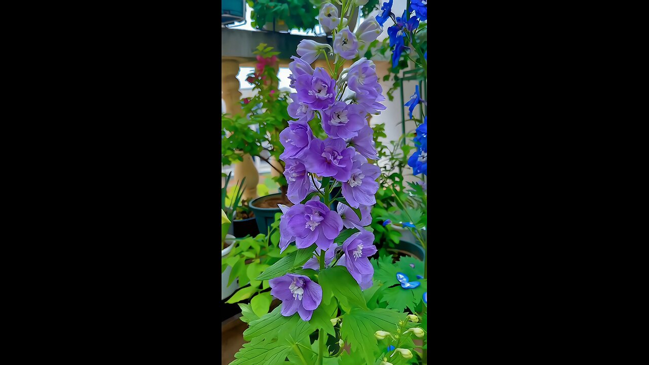 Witnessing the wonders of nature in ultra-high definition 🌺🌿 #NatureLover #4k #NaturalBeauty