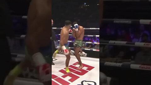 MMA Monkeez - Knockout Videos 666 #KO