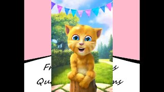 Boa tarde, quero carinho, você vai me dar carinho? [Mensagem] [Frases e Poemas]