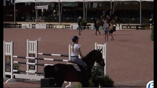 Equestrian festival helps economy boom