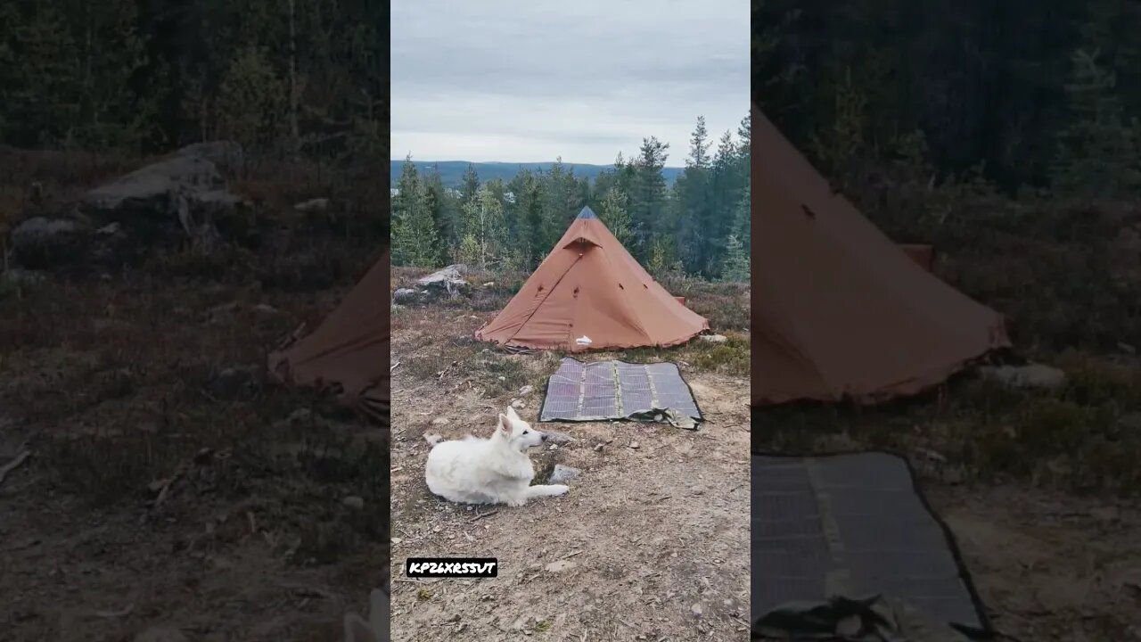 Arctic Circle Off-Grid #hamradio #shorts