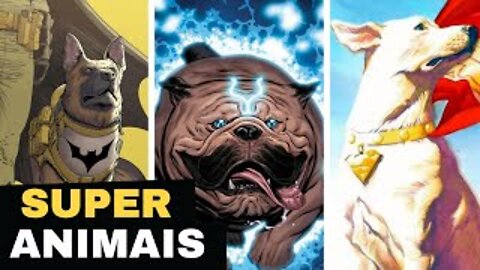 ANIMAIS DE ESTIMAÇÃO DOS SUPER-HERÓIS