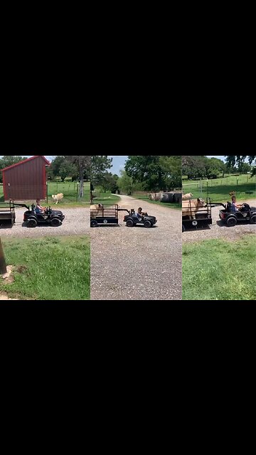 KID PULLING A COW?? 😱😱😱