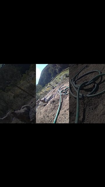 Farm surveillance. Chicken watch