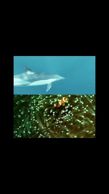 Azul e Amarelo Moderno Agricultura Logotipo