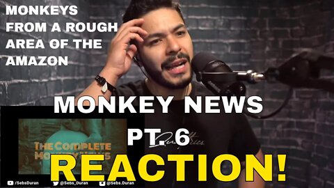 Monkey News with Karl Pilkington (Sebs Reaction!) pt 6 origins of the saying "monkey business?"