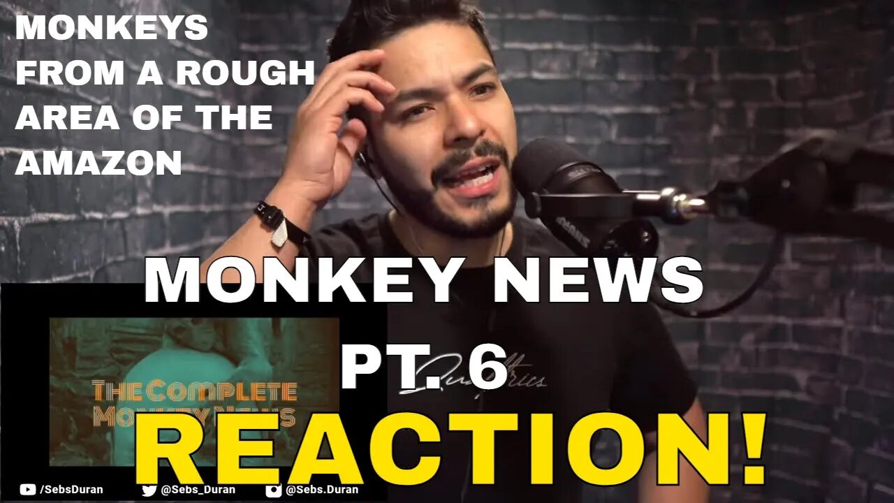 Monkey News with Karl Pilkington (Sebs Reaction!) pt 6 origins of the saying "monkey business?"