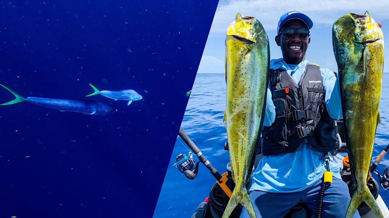 We couldn't stop catching MAHI-MAHI | DEEP-SEA on my SEA-DOO