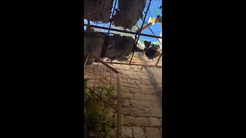 Sono più stronzi o più idioti? Terza puntata.