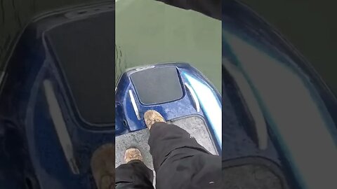 Big Fish Eats Bluegills #shorts #fishing