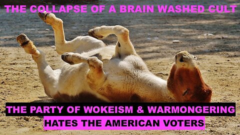 11/5/2024 -THE COLLAPSE OF A BRAINWASHED CULT - THE PARTY OF WOKEISM & WAR HATES THE AMERICAN VOTERS