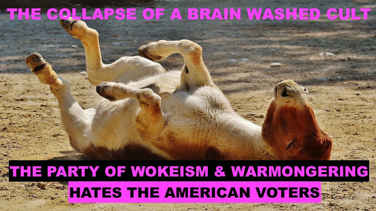 11/5/2024 -THE COLLAPSE OF A BRAINWASHED CULT - THE PARTY OF WOKEISM & WAR HATES THE AMERICAN VOTERS