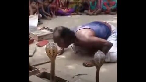 Dancing with the world's most deadliest snakes - Snake Charmers