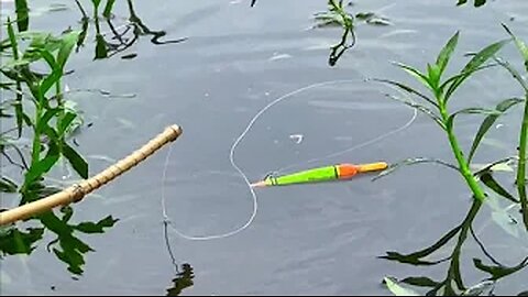 Best Hook Fishing
