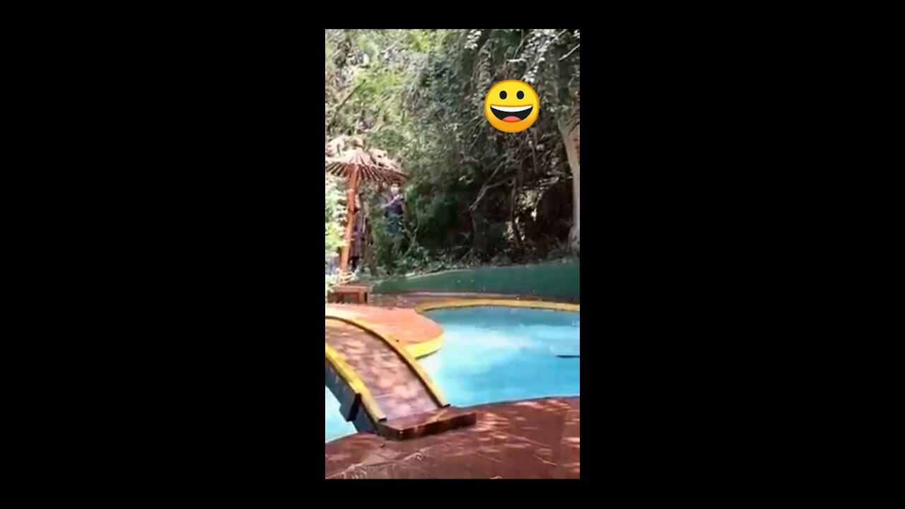 Monkey Swimming in pool funny video