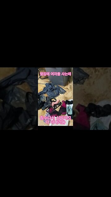 딜도 떠내려옴! #shorts