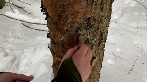 SOLO Two Days WINTER BUSHCRAFT Camp Shelter in Snowfall Lavvu Poncho Spoon Carving