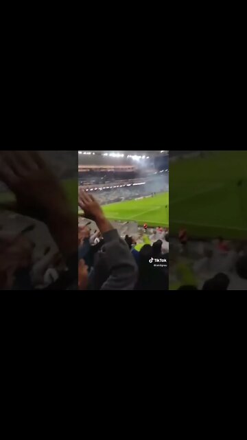 Corinthians x Ceará - Palmeirenses na torcida do Ceará cantando "Palmeiras" na Arena Corinthians