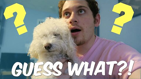 GUESS WHAT?!