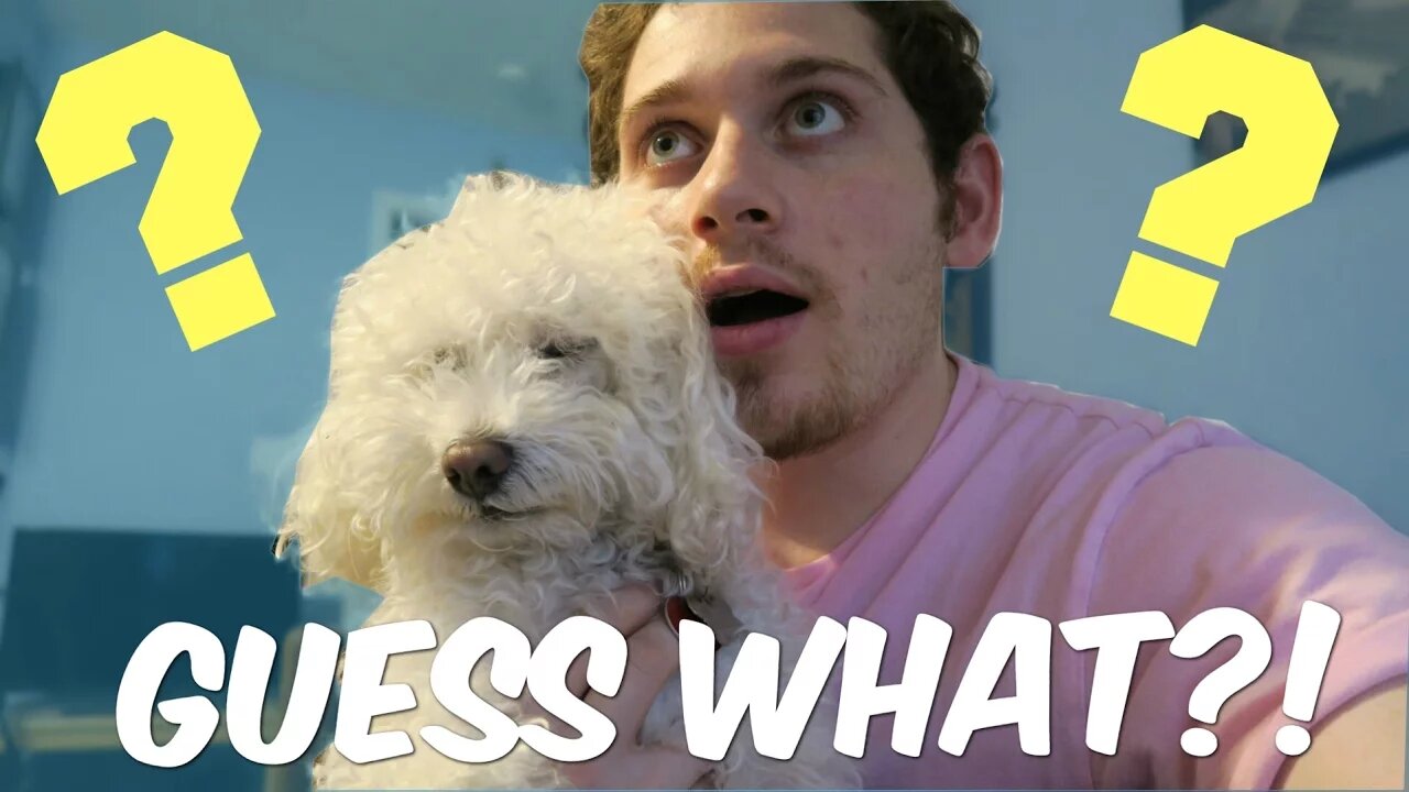 GUESS WHAT?!