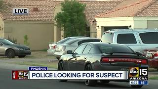Four expected to survive after being shot at Phoenix party