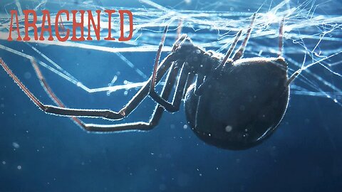 Arachnid Operator Bundle (MW2019 Season 3)