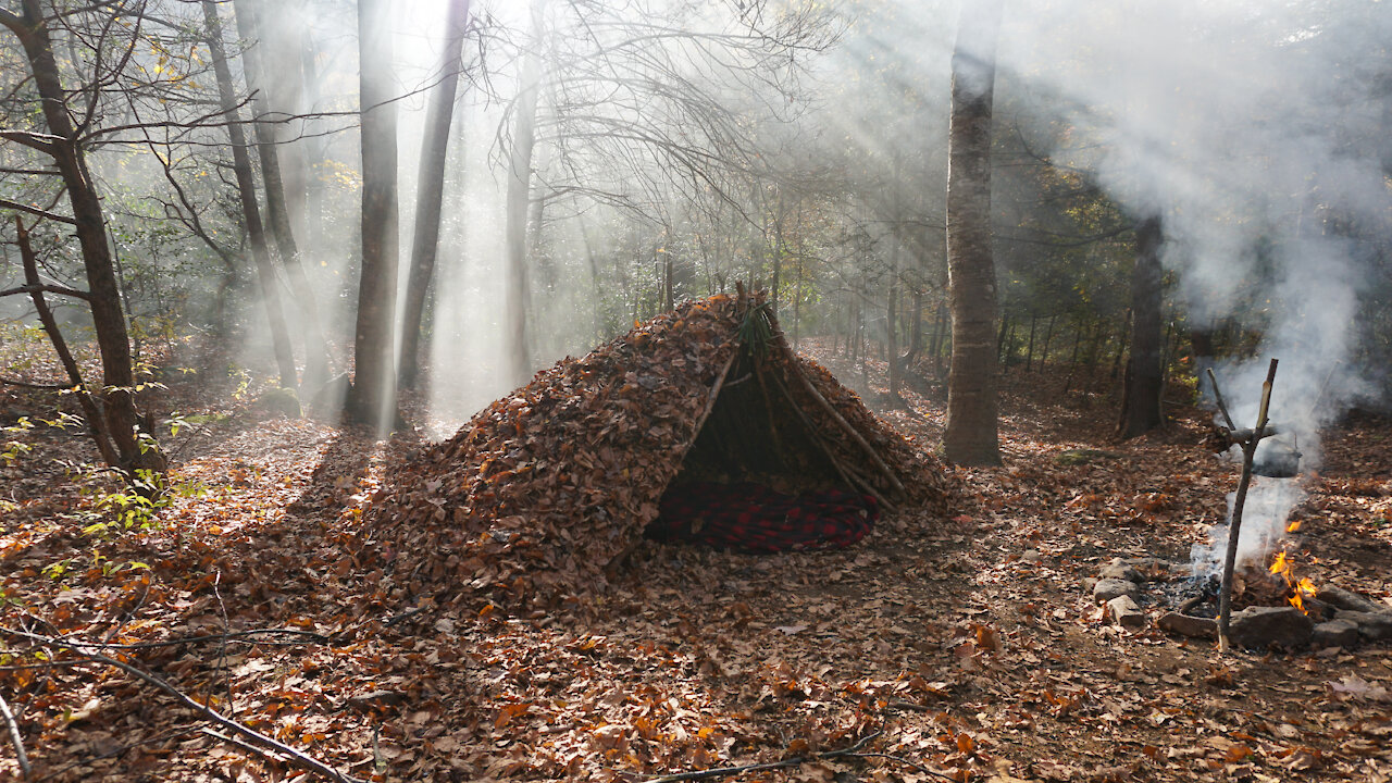 Debris Hut Shelter Build and Bushcraft Camping Solo Overnight in Survival Fortnite Mushroom Foraging