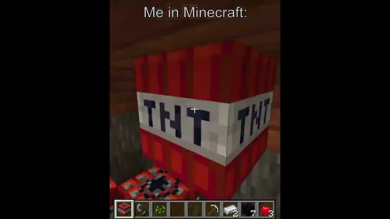 The Only Time I've Ever Felt Remorse In Minecraft...