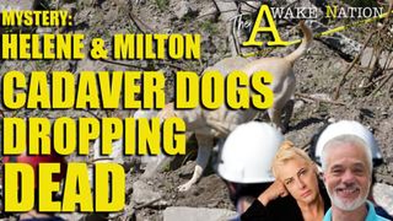 The Awake Nation Mystery: Helene & Milton Cadaver Dogs Dropping Dead