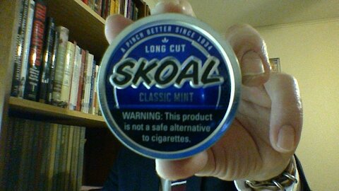 The Skoal Classic Mint LC Review