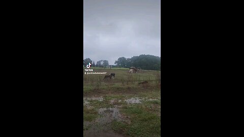 Preparing for Hurricane Helene.