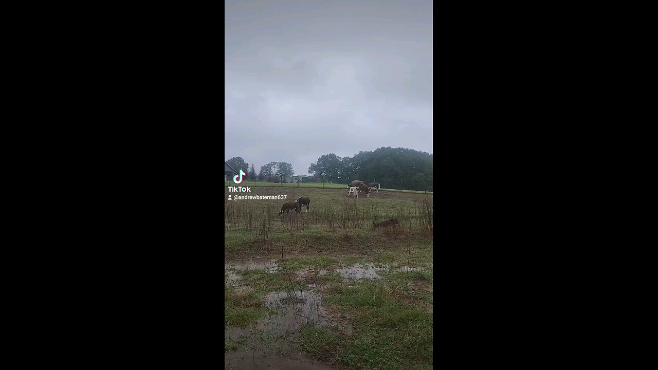 Preparing for Hurricane Helene.