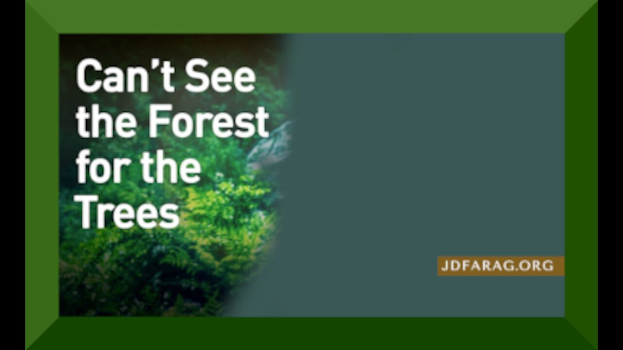 WE CAN'T SEE THE FOREST FOR THE TREES