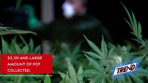 THE TREND: BPD shuts down two dispensaries in Bakersfield