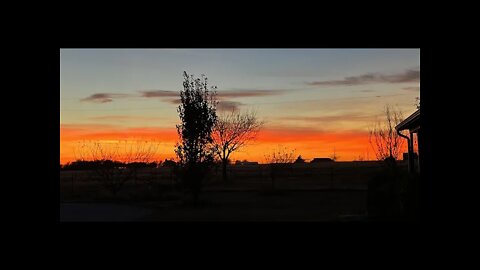 Feeding Horses & Winter Weight Ideas - First Texas Frost & A Nice Texas Sunset