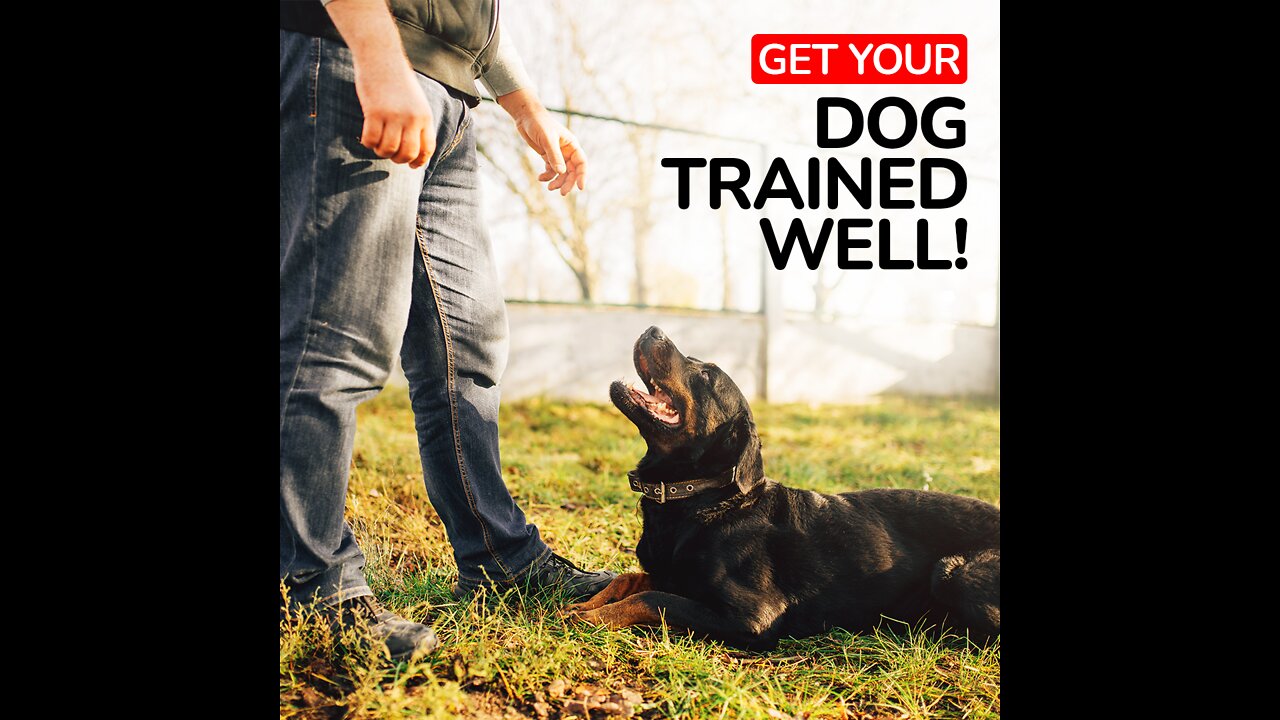 A LIFE SAVINGS DOG TRAINING TIP