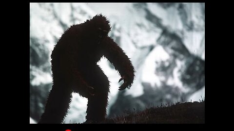 The Big Foot YETI